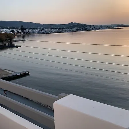 酒店 阿尔基奥酒店 Páros