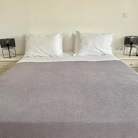 호텔 Alkyon Páros