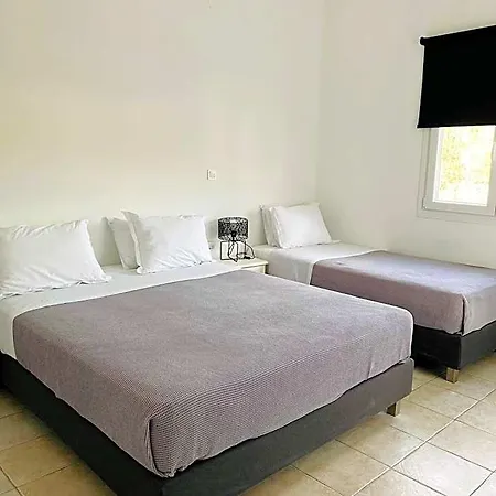Alkyon Hotel Paro